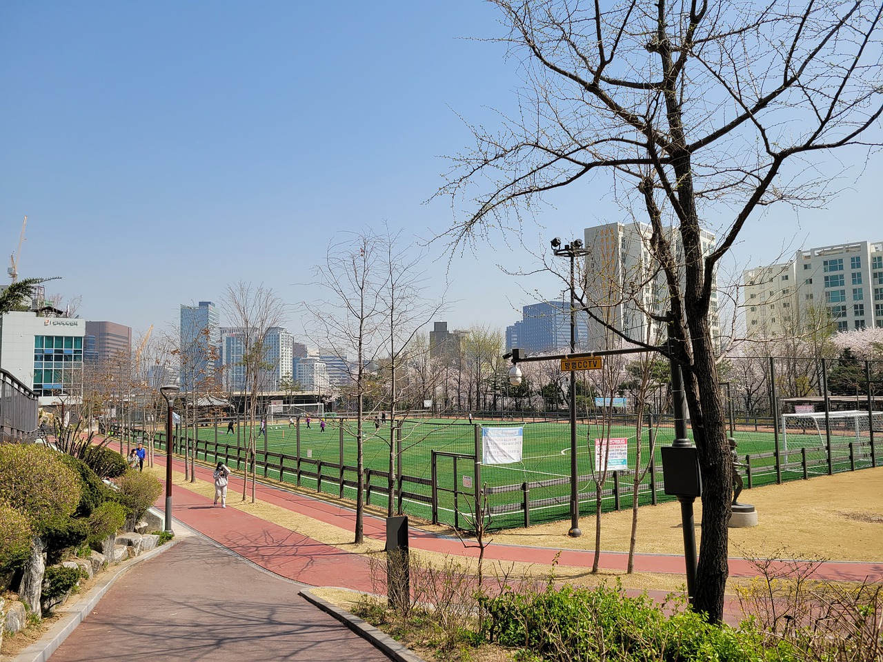 在农村振兴 在农村振兴