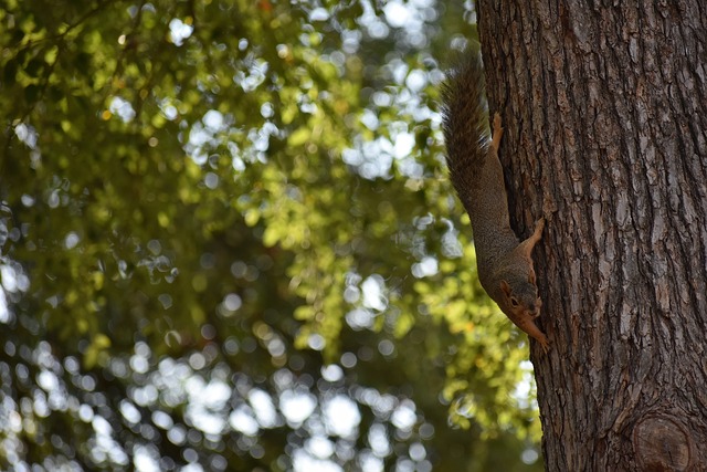 直接挑战了 直接挑战了