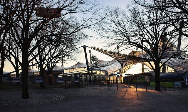 体号召力 体号召力