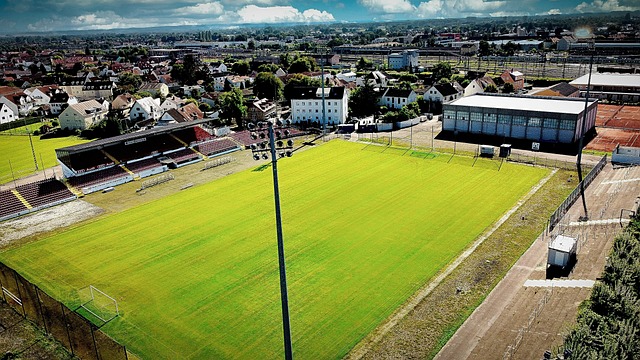 野滑雪项目 野滑雪项目