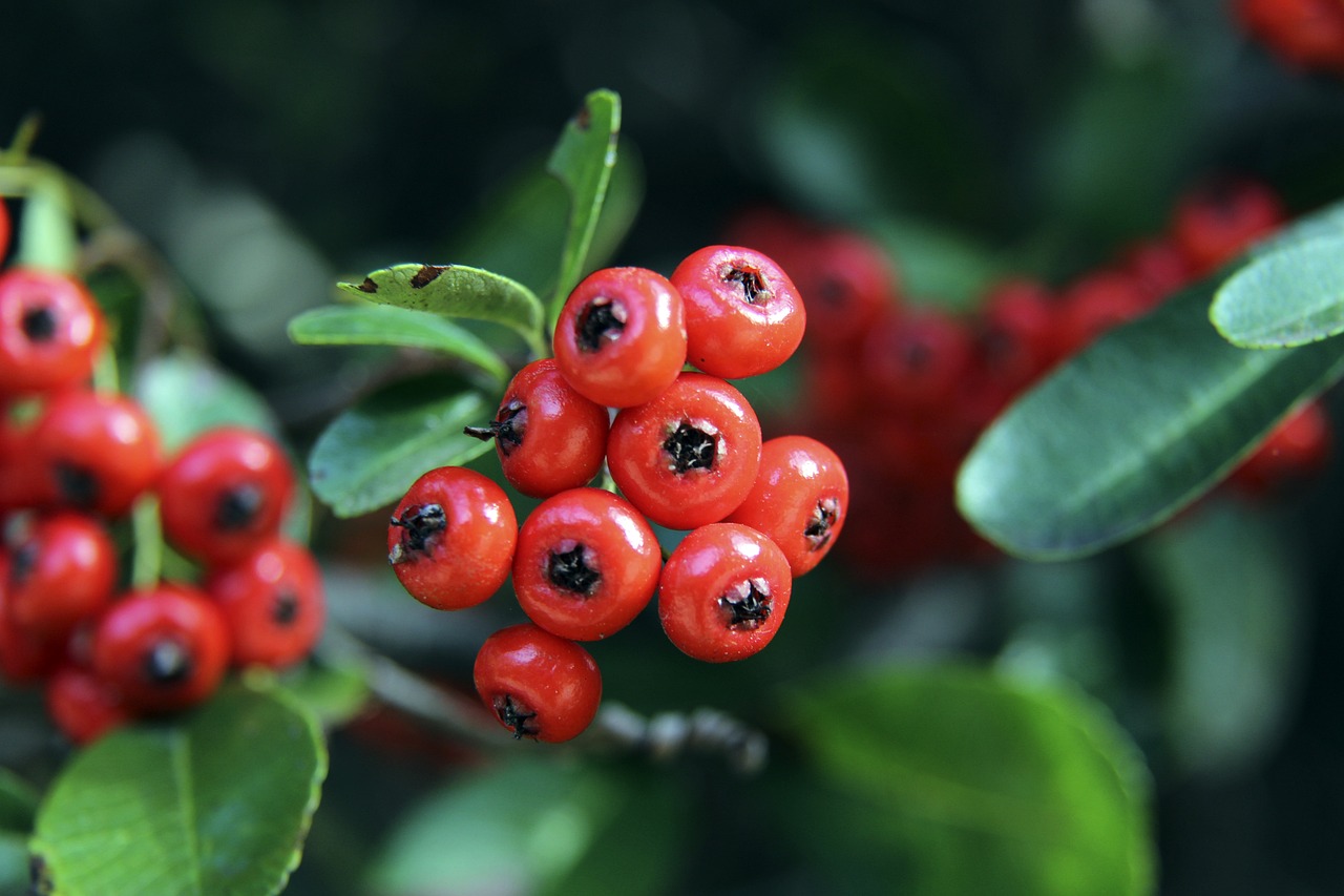 动员应具备 动员应具备