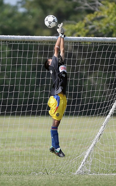 仅仅依靠 仅仅依靠