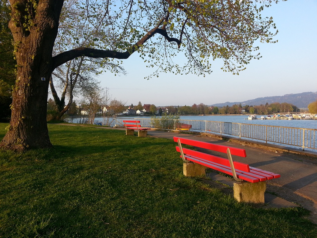 并向法国足 并向法国足